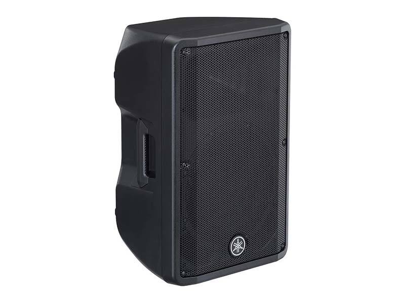 _0003_Yamaha DBR122.jpg